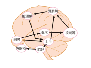 情報処理イラスト