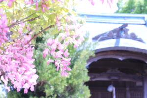 一眼レフ