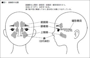 イラスト